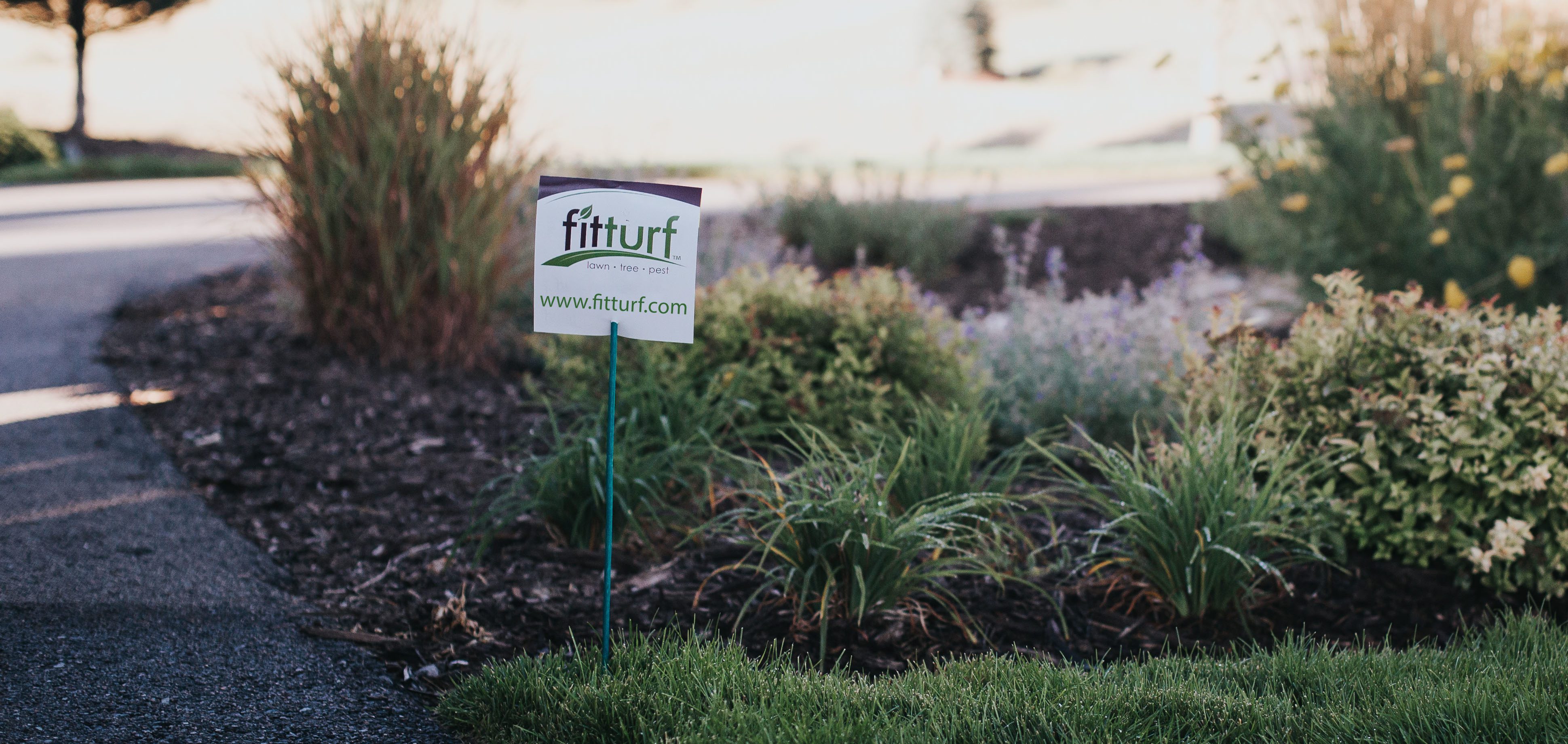 fit_turf_lawn_care-3